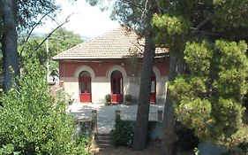 B&B Sotto I Pini