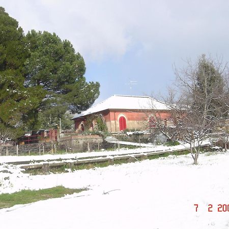 B&B Sotto I Pini Zafferana Etnea Extérieur photo