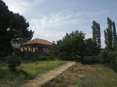 B&B Sotto I Pini Zafferana Etnea Extérieur photo