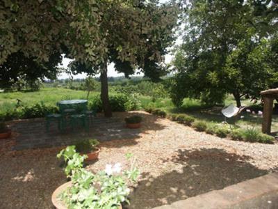B&B Sotto I Pini Zafferana Etnea Extérieur photo
