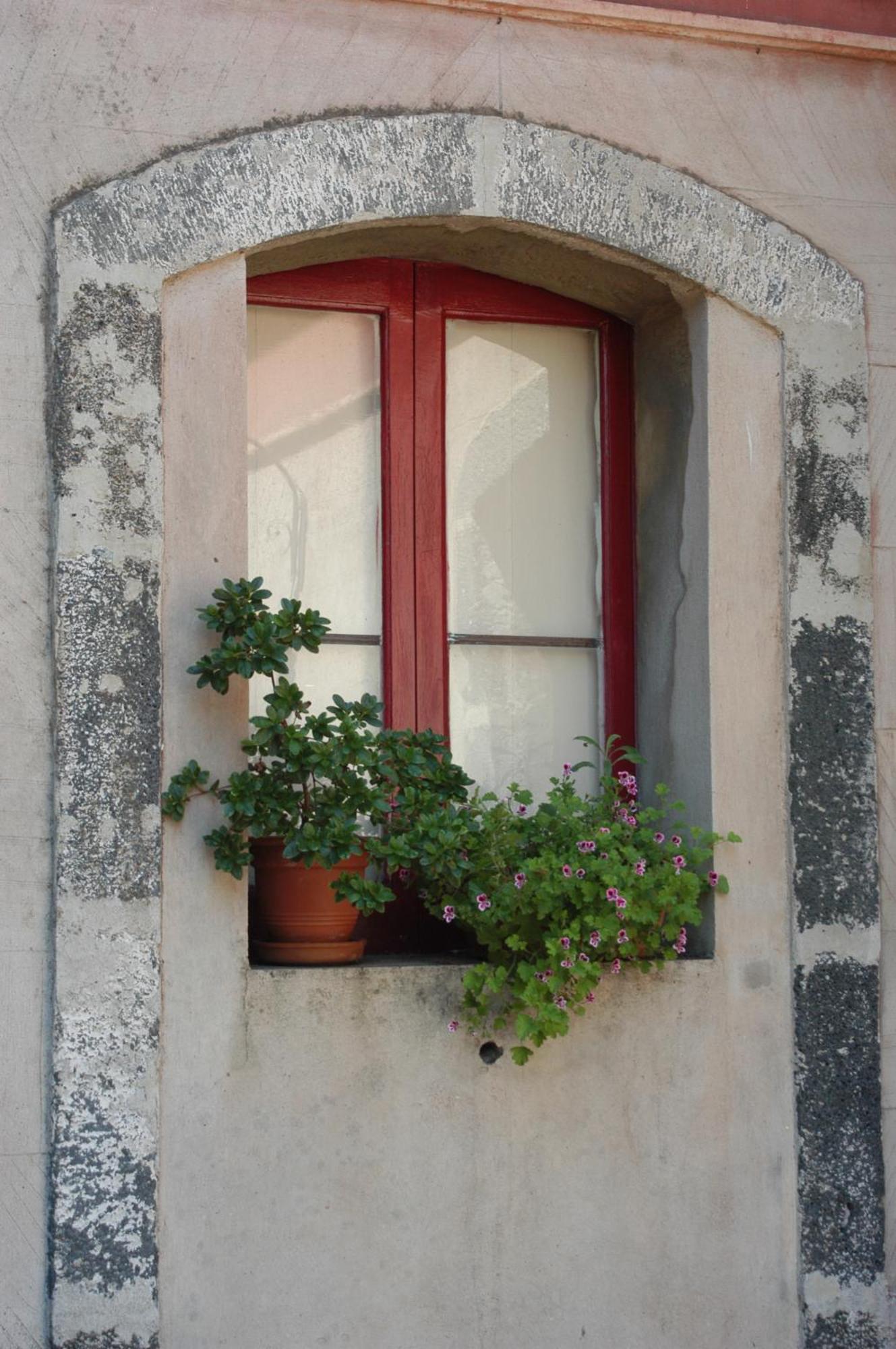 B&B Sotto I Pini Zafferana Etnea Extérieur photo